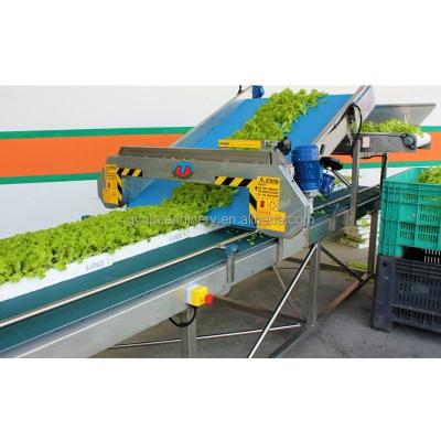 China Electric Wheat/Barley Harvester 380v Voltage for Babyleaf Tray Harvesting Solutions for sale