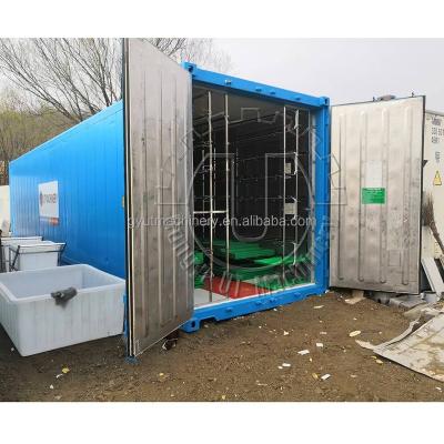 China 40FT Vertical Hydroponic Container Fodder Machine for Growing Sprouts Barley on Farms for sale