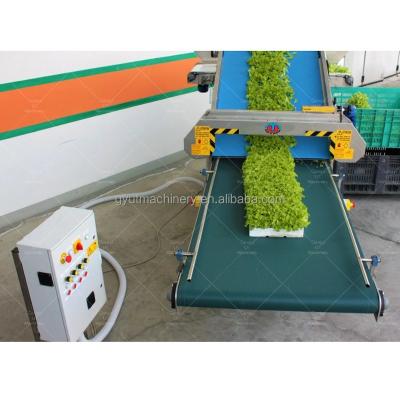 China Green Micro Cutter Harvester Baby Leaf Harvester for sale