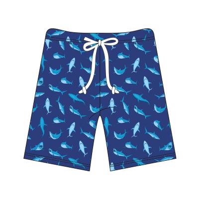 China Wholesale Custom Swimwear Sale Swimming Trunks Beach Shorts Anti-Wrinkle Top Board Shorts Swim Trunks for sale