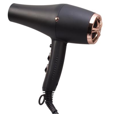 China 2021 wholesale cheap price ionic ac electric motor hair dryer dryer for sale