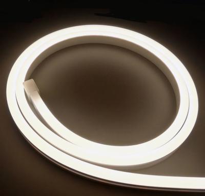 China Flat Luminous LED Silicone Tube 20*10mm for sale