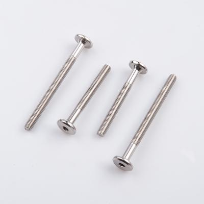 China Flat Head Sus316 Hex Socket Bed Frame Electro Polished Flat Head Screws for sale