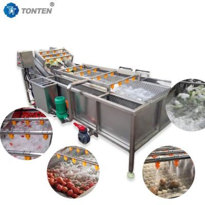 China 440V Food Cleaning Machine Industrial Vegetable Washing Machine For Olives Avocado for sale