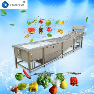 China Custom Lettuce Fruit And Veg Cleaning Machine Washer 500-1000kg/hour for sale