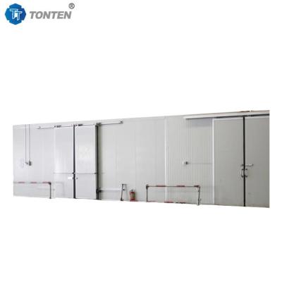 China Commercial Deep Freezer Cold Room Meat Fish Flowers Walk In Cooler Cold Storage for sale