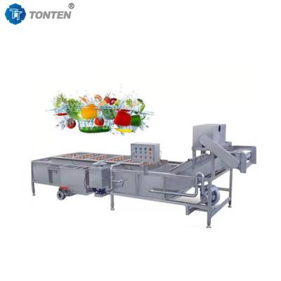 China Fully Automatic Wave Type Food Cleaning Machine For Fruit And Vegetable Cleaning for sale