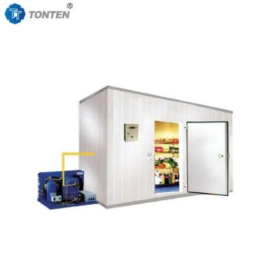 China Multiple Shelves Efficient Ventilation Freezer Room Strong Bearing Capacity for sale