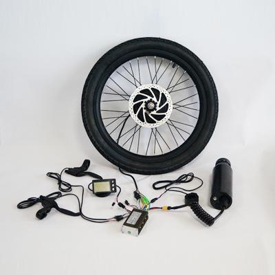 China Fast Shipping Cheap Electric Bike 36V 250W 20