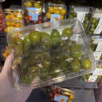 China Disposable Wholesale Custom Clear Plastic Containers Clamshell Packaging Container For Food Fruit for sale