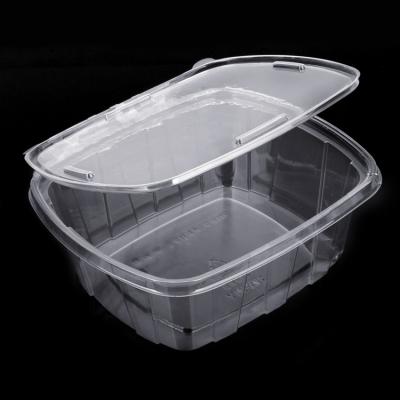 China Disposable Wholesale New Design Environmental Food Salad Container for sale