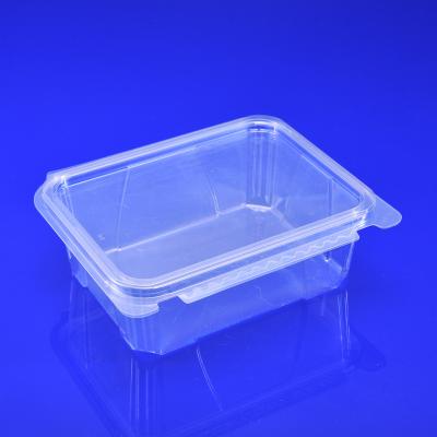 China Disposable container for food food grade packaging blister mood obvious box fruit box clear food container for sale