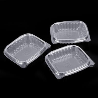 China Sustainable Disposable Food Container , Plastic Clamshell Container With Lid for sale