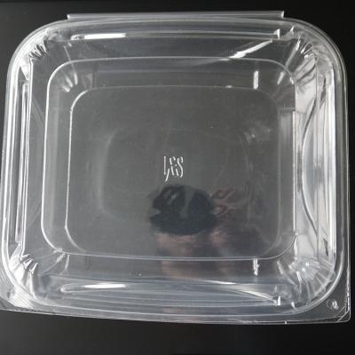 China Tear off lid plastic container disposable food, plastic container for food for sale