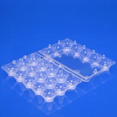 China 15 egg packaging food container reusable disposable biodegradable clear viable quickly for sale