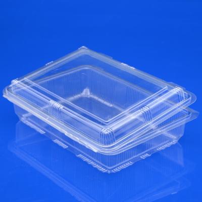 China Disposable Container For Food PET Disposable Fruit Packaging Clear Clamshell Large Plastic Food Container Boxes for sale