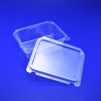 China Disposable Biodegradable Fruit Clamshell Small PET Plastic Packaging Food Box for sale