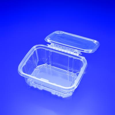 China Disposable Temper Fresh Fruit Visible Plastic Packaging , Fruit Clamshell Packing Container for sale