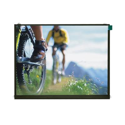 China High definition 9.7'' inch XGA IPS 1024x768 TFT LCD screen touch screen optional for sale