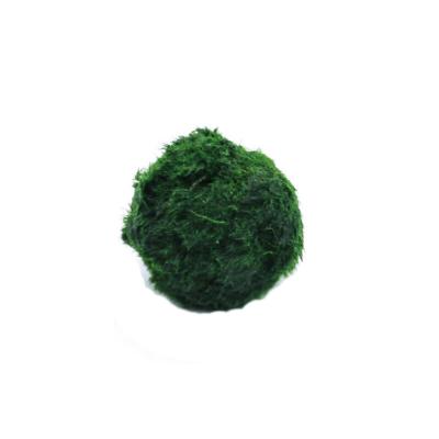 China Viable View Green Algae Balls Fish Tank Accessories Fish Tank Aquarium Accessories Live Aquatic Tanks for sale