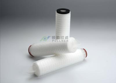 China 100% van de de Membraanfilterpatroon 0.22um van de integriteitstest PTFE de Absolute Classificatie Te koop