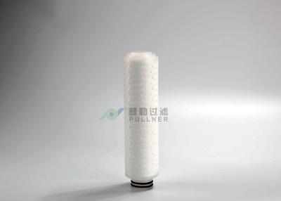 China FDA PTFE Filter Cartridfe 0.22um Absolute Filtration 0.01um 0.02um Removal Rating for sale