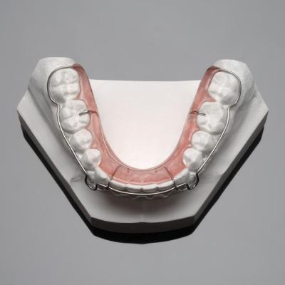 Cina Hawley Wrap Attorno Ortodontico Retainer dentale Acrilico Palato in vendita