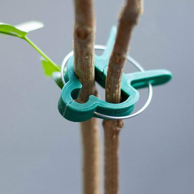 China Strong Plant Branch Clip Garden Tool Plant Branch Clip Clip Branches Vines Fixing Clip Plant Branch Clamp for sale