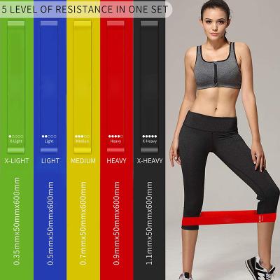 China Silicone Resistance Bands (5) Core Sliders (2) Fitness Disc Set (Boot Bands) with 21 Containers 7pc Day Difficulty Order Weight Loss for sale