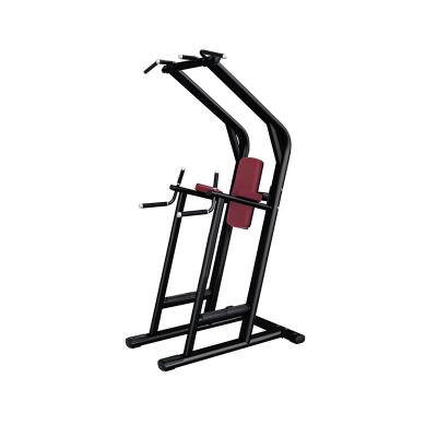 China Modern Best Selling Commercial Fitness Equipment Chin Up Dip Station Leg Raise Machine for sale