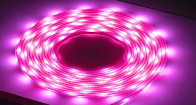 China 24V waterproof SMD RGB flexible strip light for sale