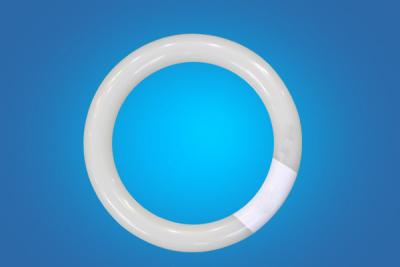 China LED tube lights for sale