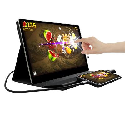 China 13.3 inch Ultra-thin IPS 1080P type C 10 points touch screen portable monitor for sale