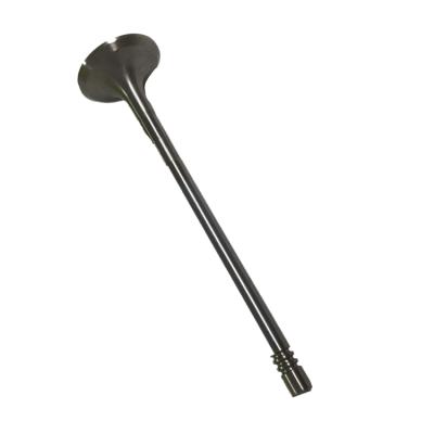 China Engine Parts Instock Intake Valve For W204 W212 Exhaust Valve Standard Size for sale