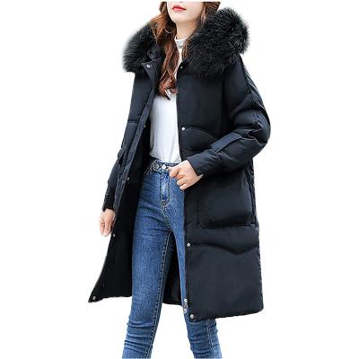 China FREE SAMPLE Anti-wrinkle women fashion long coat soft warm padded jackets nylon fleece lined windproof outerwear for sale