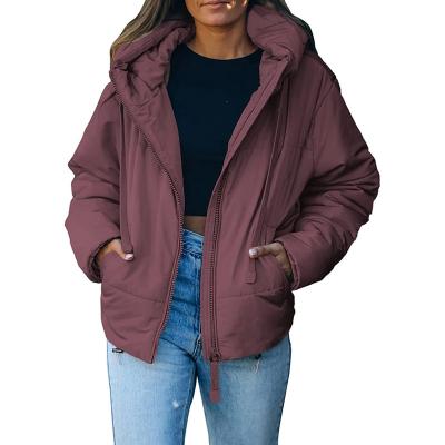 China FREE SAMPLE Anti-wrinkle Women Winter Full Zipper Hooded Jacket Warm Short Coat With Pockets Female Windproof Outerwear for sale