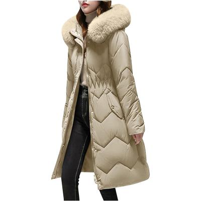 China FREE SAMPLE Anti-wrinkle female warm coat solid color women's jackets collar cardigan comic padding jackets for sale