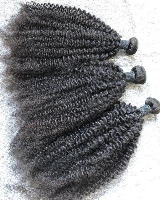 China Brazilian Curly STRAIGHT Curly Hair Bundles, Mongolian Kinky Curly Bundles, Raw Kinky Curly Bundles Hair for sale