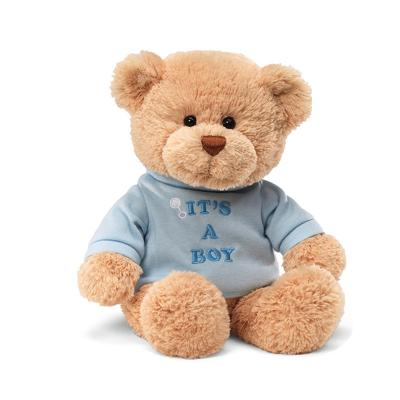 China Plush Customized Plush Branded Toy Teddy Bear DIY Soft Toy T-Shirt With Classic Plush Teddy Bear Plush Toy Company Mascot for sale