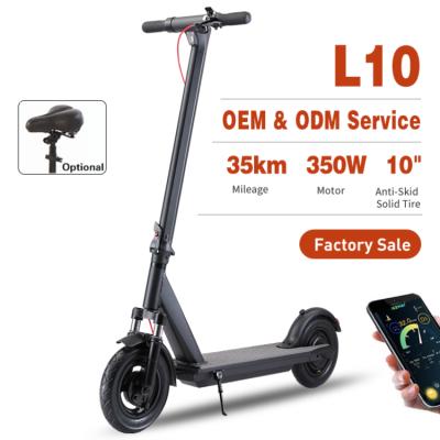 China 2021 Best Adult Powerful Foldable 10