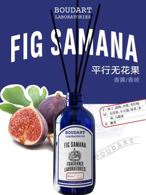 China FIG SAMANA Reed Diffuser Aroma Rattan Sticks in Elegant Design Style with Peach Top Notes for sale