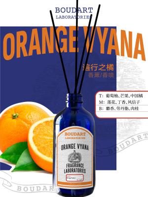 China OEM Reed Diffuser Orange Flavor And Cinnamon Base Natural Glass Bottle Fragrance Perfume for sale