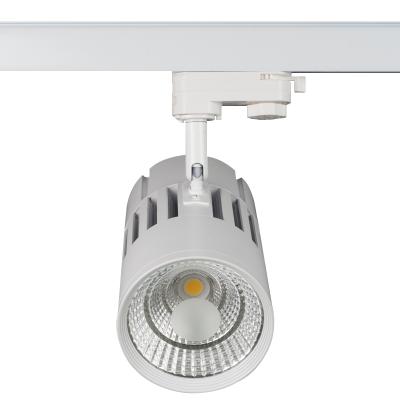 China Aluminum Alloy Fixture Housing Linear Spot Led Track Light With Circuitry Design for sale