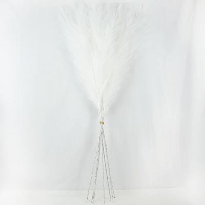 China Wholesale Factory Price Eco-friendly Cheap Artificial Dry Pampas Grass Reed For Wedding Fake Feathery Pampas Grass for sale