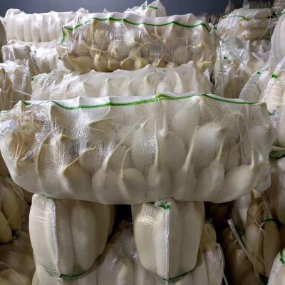 China Factory Price Fresh Chinese Organic Chinese White Radish With Credible Packing for sale