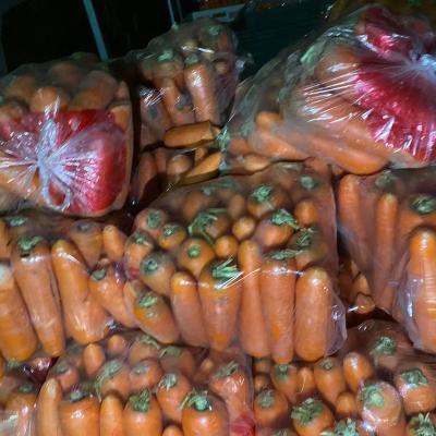 China China Manufacturer Direct Sale Price Fresh Vegetable Carrot Bag for sale