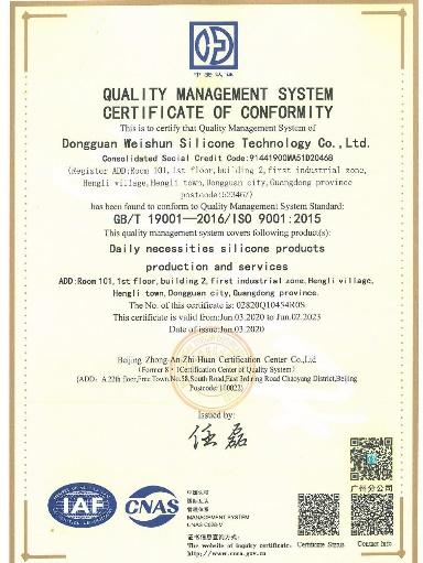 ISO9001 - Dongguan Wei Shun Silicone Technology Co., Ltd.