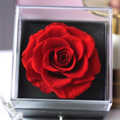 China Natural Touch Preserved Rose Head In Real FlowerJewelry Large Forever Single Box Roses Preserved By Acrylic Gift Box for sale