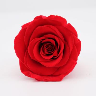 China Real Romantic Preserved Mother of Rose Yunnan Preserved Flowers Preserved Rose Head 4-5cmirthday Easter for sale