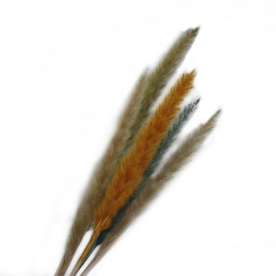 China Touch Natural Wholesale Pampas Small Artificial Pampas Grass For Home Decoration for sale